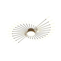 Plafonnier LED créatif d'intérieur effet feux d'artifice, indice de protection IP44, base en fer et acrylique, pour projets hôteliers et commerciaux, éclairage décoratif pour salon