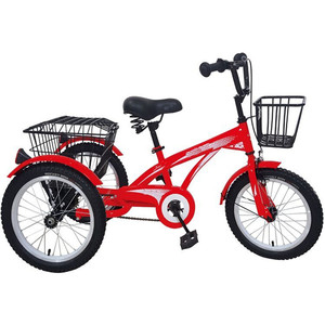 Triciclo profesional Para Adultos con discapacidad, Motor de Gas Para Adultos, venta de fábrica - Product Image 4