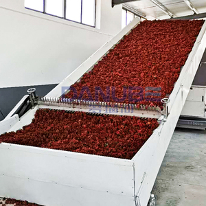 Secador de Pimienta de Sichuan con Cinta de Malla Personalizada, Máquina Procesadora de Pimienta de Sichuan, Equipo de Secado de Pimienta de Sichuan - Product Image 1