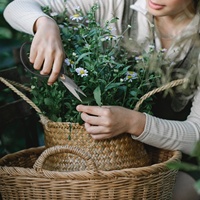 Usine de 25 pièces Kit d'outils pour bonsaï succulent Outils de repiquage de jardinage Ensemble de cadeaux Kit d'arbre bonsaï avec sac en PU