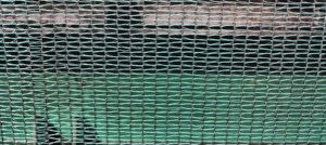 Red de parasol UV 80% para invernadero - Product Image 6