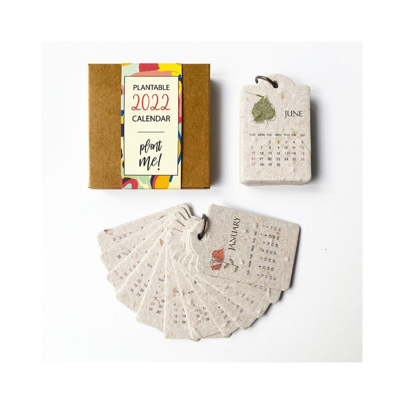 2023 Creative Seed Paper Sprouting Card
