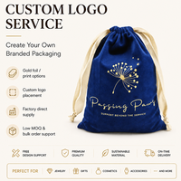 Sac de rangement en velours avec cordon de serrage pour sèche-cheveux, chaussures, sous-vêtements de luxe, sac anti-poussière pour cheveux, pochette en flanelle, pochette en velours à cordon de serrage