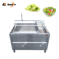 200kg/uur Wasmachine voor paarse kool, fruit, maïs en groentesalades met SUS 304 motor