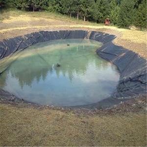 Meilleur prix 100% vierge géomembrane imperméable à l'eau racine barrière traitement de l'eau - Product Image 6
