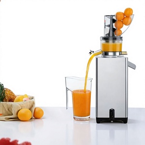 Hot Sale Industrial Large Caliber Ginger Orange <b>Fruit</b> <b>Vegetable</b> Screw <b>Juicer</b> Extractor <b>Machine</b> commercial <b>fruit</b> <b>juicer</b> <b>machine</b> - Product Image 2