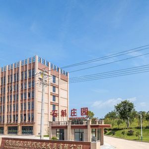 Высококачественный подарочный набор с имитацией дикого растения Дендробиум Кандидум из гор Тяньчжу - Product Image 6