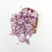 Fleurs de cerisier séchées naturelles en vrac Ying Hua, thé comestible