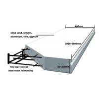 Panneaux AAC de 150mm, pour mur de séparation, norme CE, nouvelle collection