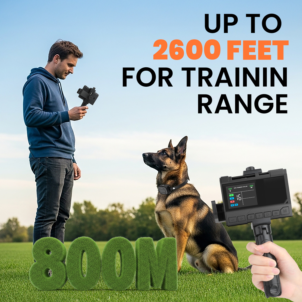 wireless dog fence system