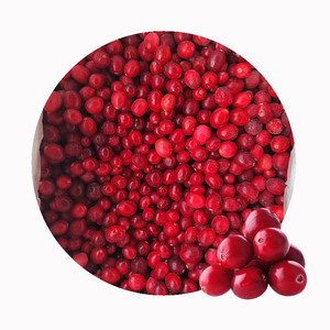 Dondurulmuş kızılcık IQF-organik ve geleneksel seçenekler | OEM özel etiket | Güvenilir soğuk zincir | Sıcak satıcı - Product Image 3