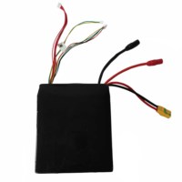 YDPACK SS142-1216 Высокая энергетическая плотность 320 Вт·ч/кг, 12S16Ач