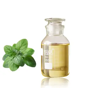 Thực Vật Chiết Xuất 100% Tinh Khiết Origanum Dầu Hữu Cơ Oregano Tinh Dầu Cho Chăm Sóc Da Massage