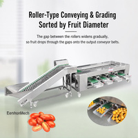 RVS fruit- en groentesorteermachine, multifunctionele sorteer- en verdeelmachine voor knoflook, aardappel, tomaat, mango