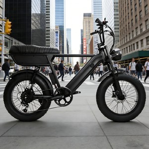 Vélo Électrique à Pédalage Assisté 500W NL Warehouse Mountain City, Fatbike à Pneus Larges de 20 Pouces, Vente en Gros et Dropshipping - Product Image 1