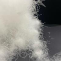Matériau de rembourrage en duvet de canard blanc 95 % lavé, 800 FP, certifié IDFL et OEKO-TEX, OEM ODM