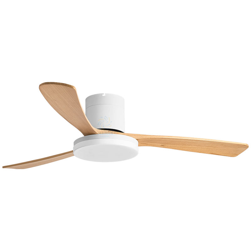 ขาว + เม็ดไม้