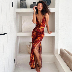 Robe longue dos nu à imprimé léopard de style européen et américain pour femmes, tenue de soirée décontractée - Product Image 1