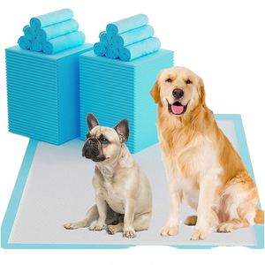 Factory Customized Disposable <b>Waterproof</b> Super Absorption Training Underpad Easy Clean for Dogs - Product Image 1
