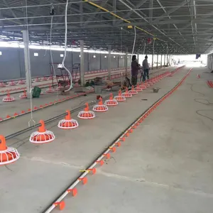 Pollo de alta calidad de alimentador de aves de corral alimentadores y bebedores granja equipos de la cría de aves de corral de la agricultura para la venta