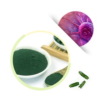 Poudre d'extrait de spiruline et de chlorelle verte naturelle certifiée ISO en vrac pour complément alimentaire