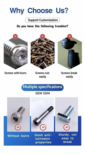 Tornillos de Acero Inoxidable de Alta Precisión, Aleación de Aluminio, Torneado CNC, Rosca Métrica Estándar, Niquelados, OEM Personalizados - Product Image 2