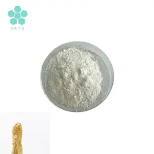 Food Grade Bamboo Fungus Extract Polysaccharide Powder