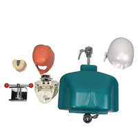 Equipo de Enseñanza, Cabeza de Maniquí Dental, Simulador de Cabeza de Fantasma Dental, Fijación en Escritorio, Modelo de Dientes, Simulador Dental