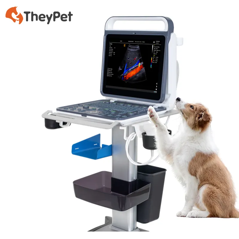 Scanner vétérinaire portatif de petit animal de Doppler de couleur de machine d'ultrason de 15 "pour le diagnostic pour des chiens chats