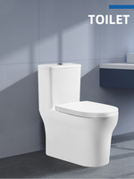 WC monobloc moderne TTF021005 à double chasse, siphon en S, cuvette en céramique blanche, chasse d'eau, économie d'eau