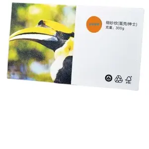 Visitekaartjes Van Hoge Kwaliteit Afdrukken Custom Kaartbezoek