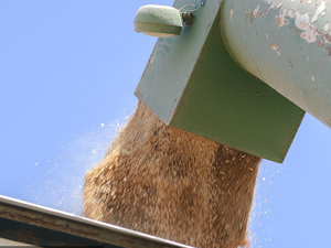 Máquina cosechadora de frijoles de la mejor marca de China GN60, productos agrícolas, motor diésel con gran fuerza motriz - Product Image 6