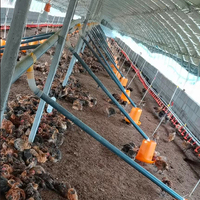 Mangeoire automatique en acier et PP pour l'élevage de poulets de chair et de reproducteurs avec composant moteur central