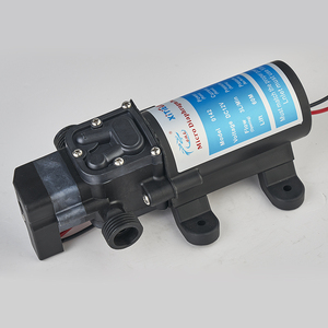 Xtl - Product Image 4