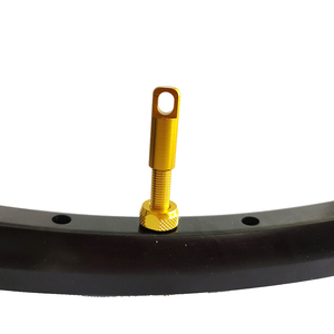 Valves <span class=keywords><strong>tubeless</strong></span> pour vélo en aluminium multicolores, valves <span class=keywords><strong>tubeless</strong></span> Presta/Françaises, valves <span class=keywords><strong>Schrader</strong></span>/Americanes - Product Image 1