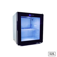 Réfrigérateur à vin de 52 L, refroidisseur de boissons pour terrasse, mini-réfrigérateur pour dropshipping