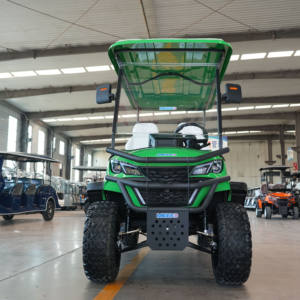 รถกอล์ฟไฟฟ้าจากจีนรถกอล์ฟ4ที่นั่ง6ที่นั่งรถกอล์ฟลิเธียม72V รถกอล์ฟไฟฟ้าผ่านการรับรองตามกฎหมาย - Product Image 2