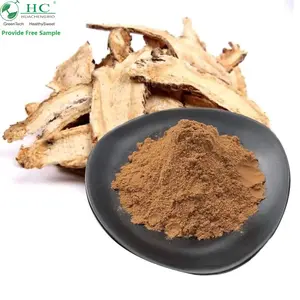 Chất lượng cao Angelica Sinensis chiết xuất từ rễ bột Dong Quai chiết xuất