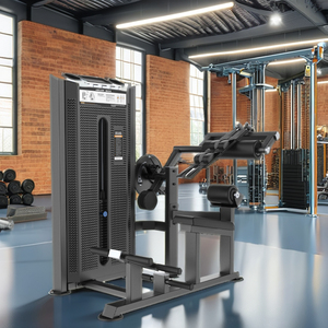 Équipement de fitness de qualité supérieure pour la musculation du dos et des abdominaux, machines à sélection de charge par broche L-8013A pour salles de sport - Product Image 3