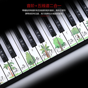 Piano Keyboard Sticker 88/61/49 <b>Key</b> Waterproof PVC Musical Note <b>Label</b> For Electronic Piano Roll Up Keyboard - Product Image 2