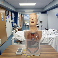 Modèle de mannequin d'entraînement à trois chambres et à deux capsules, modèle d'entraînement pour l'examen de la prostate