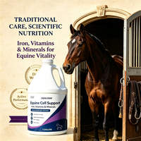 Complément Liquide OEM Vitamines-Fer-Minéraux pour Chevaux 1 Gallon – Favorise l'Endurance, la Santé Sanguine et la Fonction Immunitaire