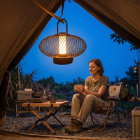 Lanterne portable en métal avec cage en fil métallique, 3 couleurs, sans fil, rechargeable, pour le camping, la terrasse, la table de chevet, lumière d'ambiance LED