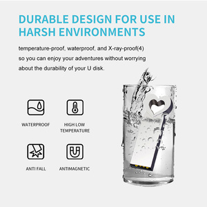 Biểu tượng tùy chỉnh giá thấp hơn hình trái tim 2GB 4GB 8GB <span class=keywords><strong>USB</strong></span> Key 2.0 Bộ nhớ Gậy tốc độ cao 64GB Pendrive Clé <span class=keywords><strong>USB</strong></span> 3.0 ổ đĩa <span class=keywords><strong>flash</strong></span> - Product Image 4