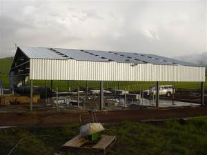 Bâtiments en acier, nouveauté, à bas prix, briques de levage de mollet, bâtiments de ferme, journal intime, animaux de ferme - Product Image 3