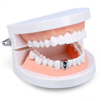 Grillz dentaire tendance en zircon, plaqué or 18 carats, motif étoile, en laiton, bijoux hip-hop pour cadeau de fête