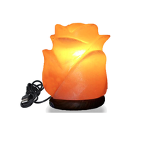 Lampe de sel rose de l'Himalaya sculptée à la main Tahir Gems, artisanat naturel avec couleur personnalisée pour la maison, le bureau ou la décoration de fêtes - Vente flash