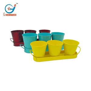 Set di tre eco-friendly giardino giardino erba carnosa pianta colorata piccoli vasi di fiori su vassoio zincato - Product Image 5