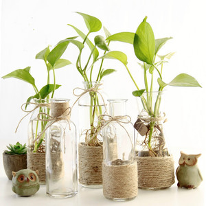 Vases <span class=keywords><strong>en</strong></span> <span class=keywords><strong>verre</strong></span> transparent de petite taille <span class=keywords><strong>pour</strong></span> centres de table, vente <span class=keywords><strong>en</strong></span> gros, mini <span class=keywords><strong>vase</strong></span> à fleurs, décoration de la maison, design contemporain - Product Image 1