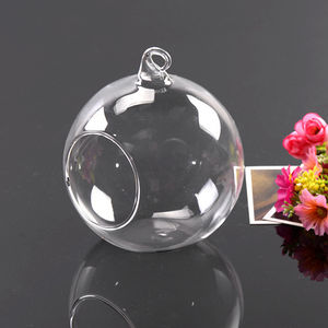 Mousse micro-paysage conteneur bouteille <span class=keywords><strong>en</strong></span> <span class=keywords><strong>verre</strong></span> <span class=keywords><strong>suspendu</strong></span> bouchon <span class=keywords><strong>en</strong></span> bois bouteille thé canecological bouteille <span class=keywords><strong>pot</strong></span> de stockage - Product Image 3